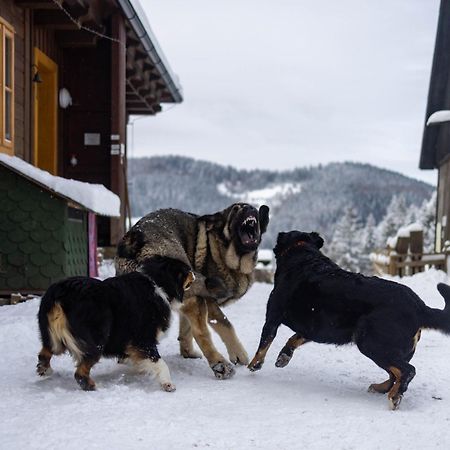 Statek U Rajmunda Zemedelska Farma Villa Velke Karlovice Luaran gambar