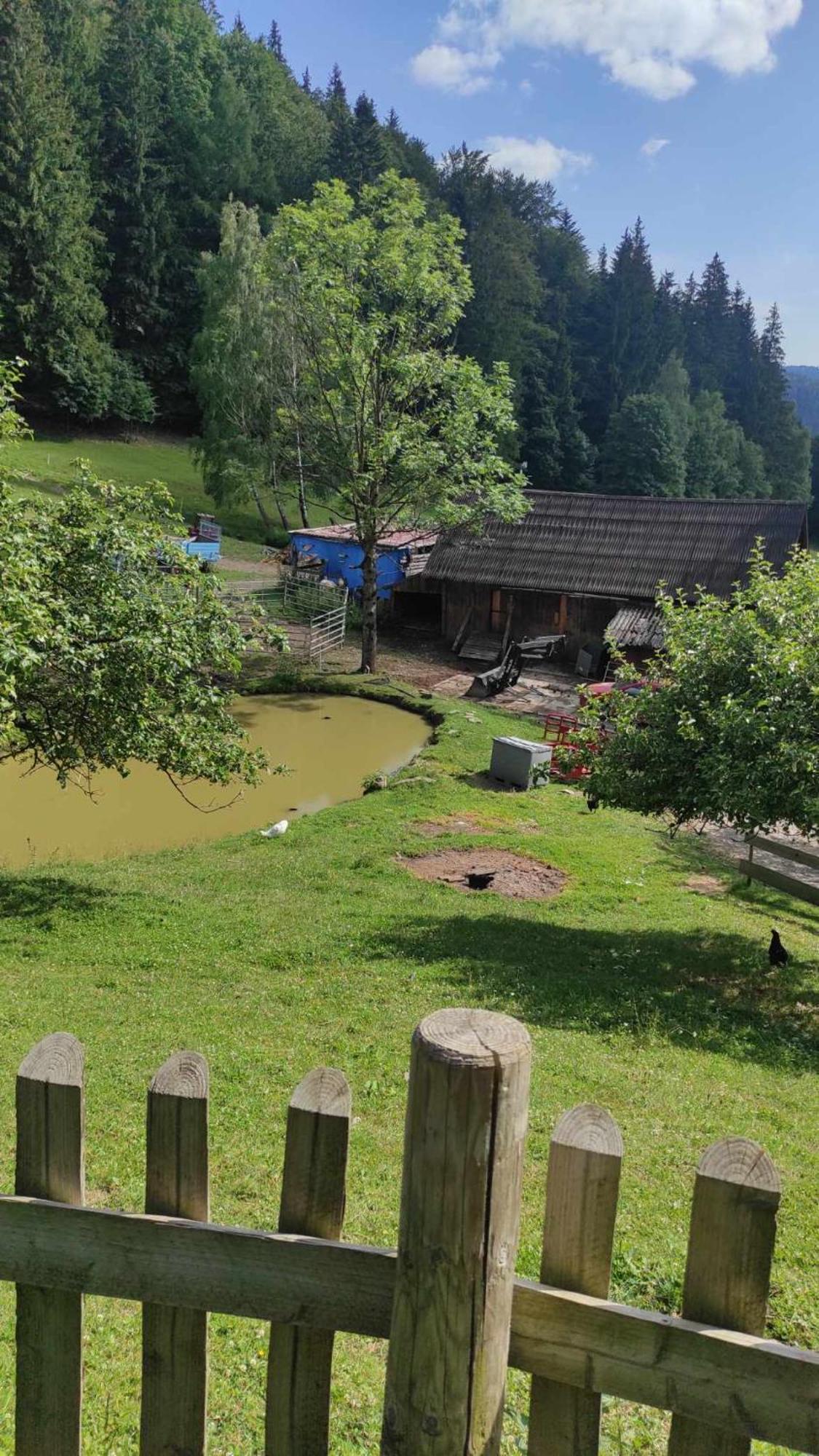 Statek U Rajmunda Zemedelska Farma Villa Velke Karlovice Luaran gambar