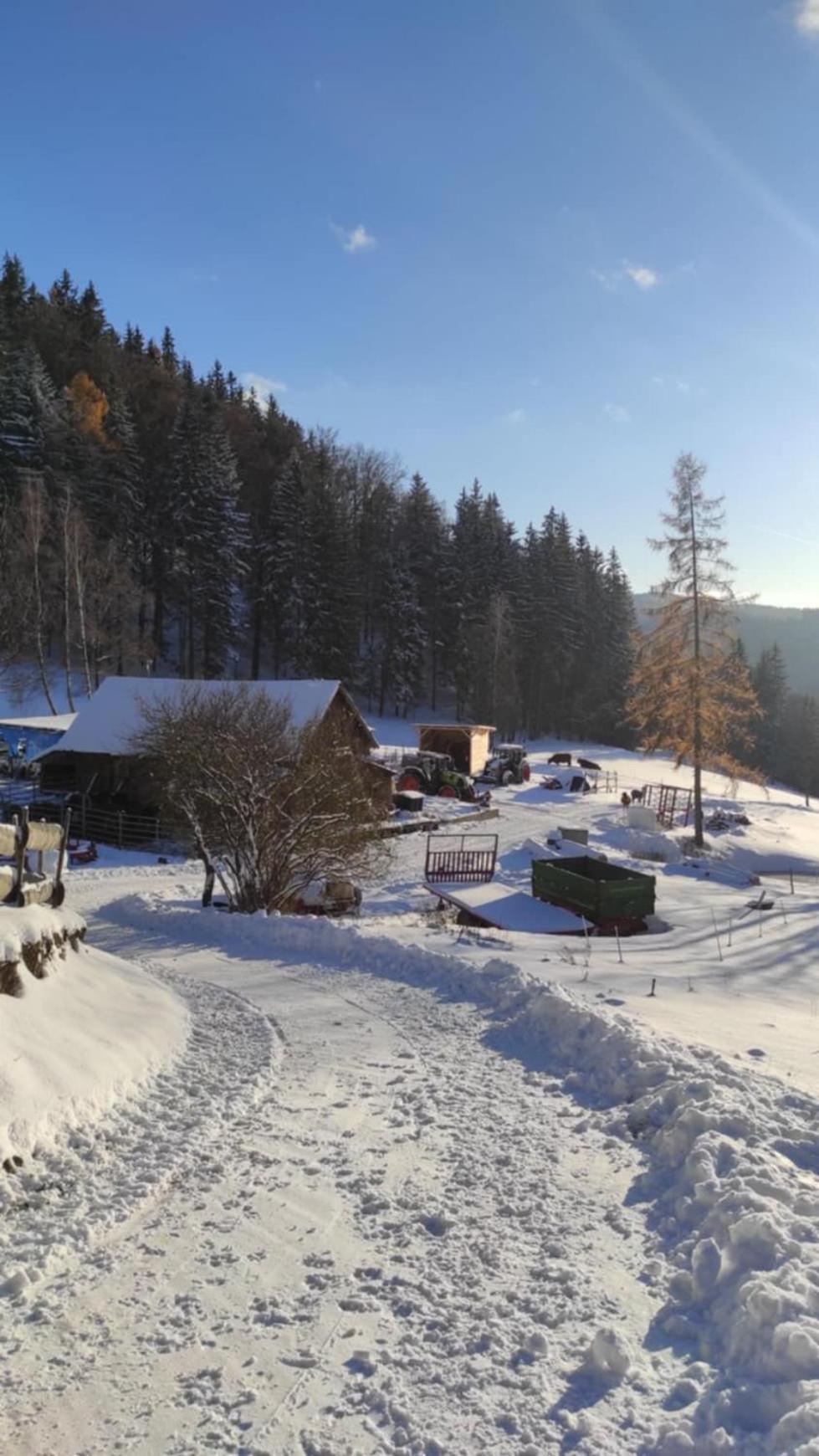 Statek U Rajmunda Zemedelska Farma Villa Velke Karlovice Luaran gambar