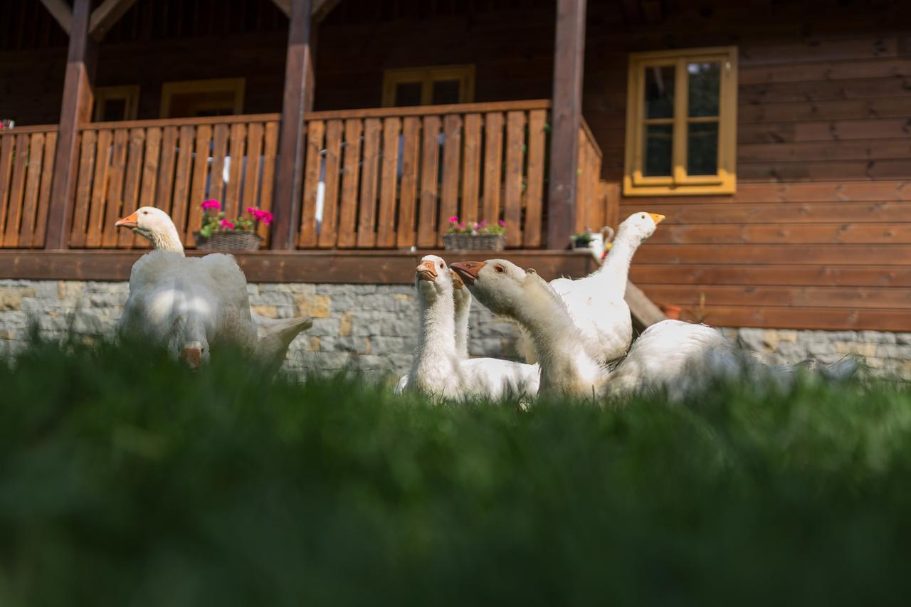 Statek U Rajmunda Zemedelska Farma Villa Velke Karlovice Luaran gambar