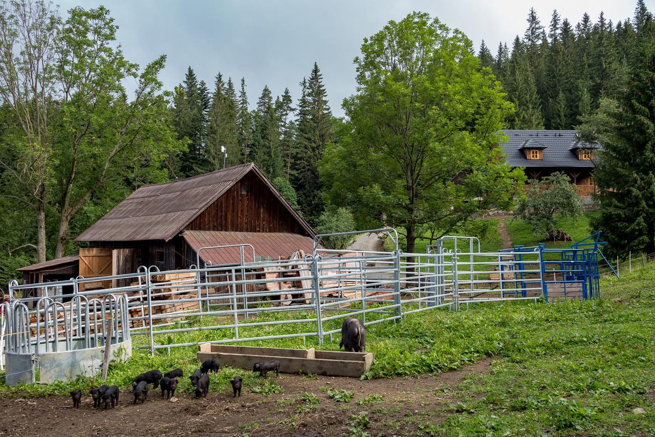 Statek U Rajmunda Zemedelska Farma Villa Velke Karlovice Luaran gambar