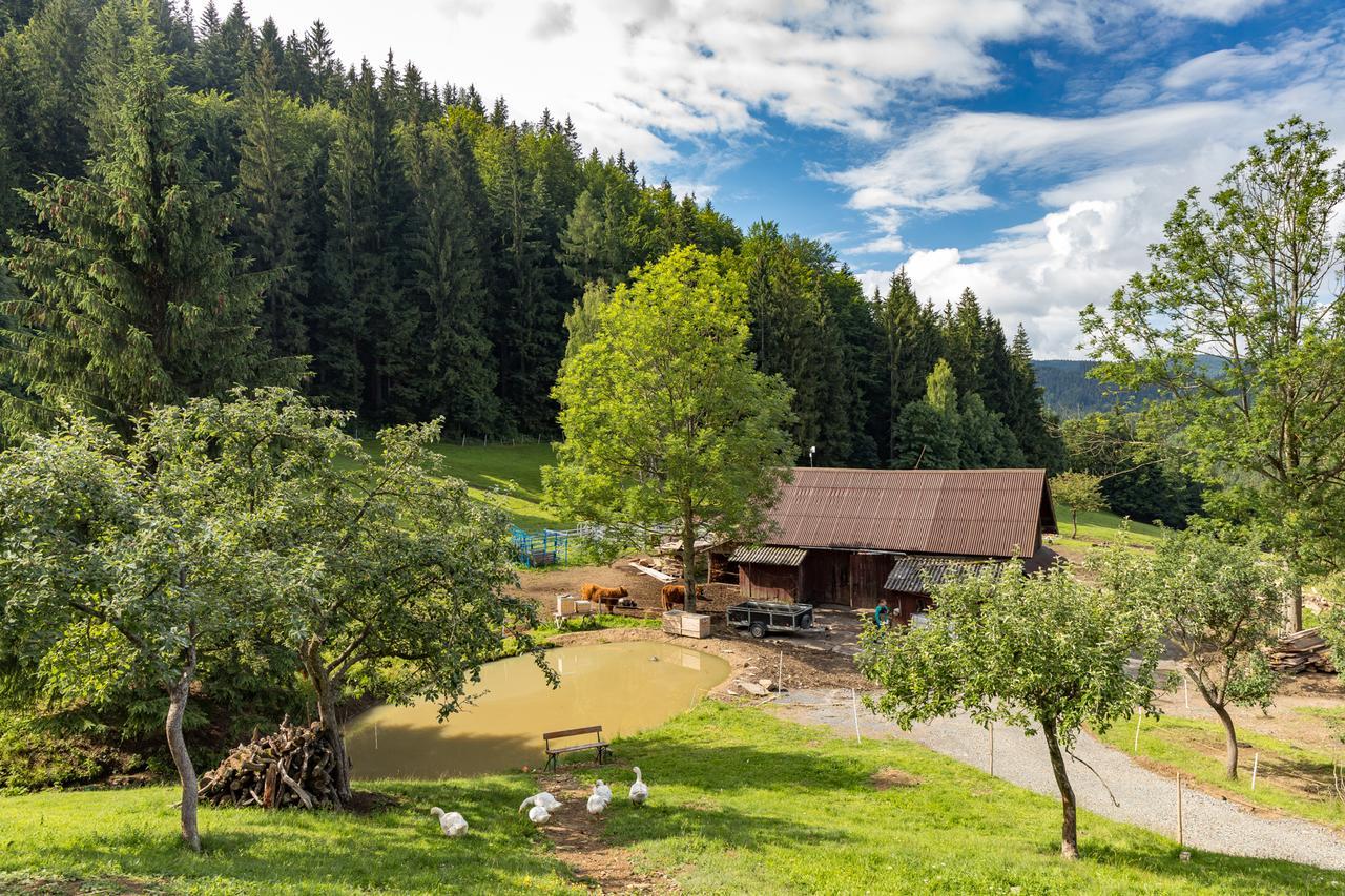 Statek U Rajmunda Zemedelska Farma Villa Velke Karlovice Luaran gambar