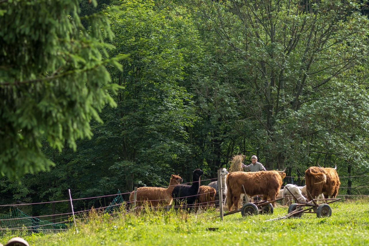 Statek U Rajmunda Zemedelska Farma Villa Velke Karlovice Luaran gambar