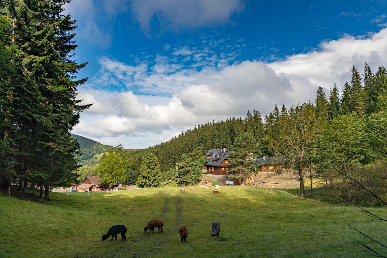 Statek U Rajmunda Zemedelska Farma Villa Velke Karlovice Luaran gambar