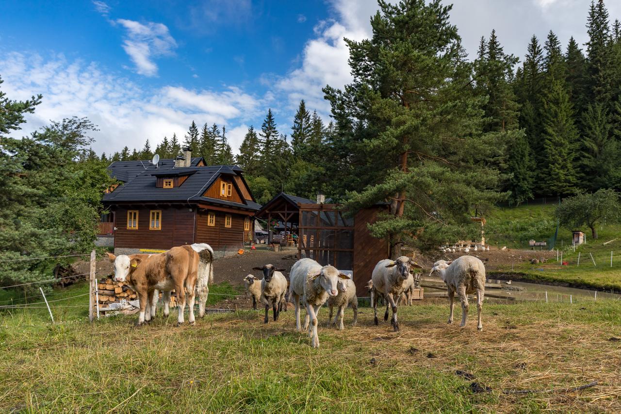 Statek U Rajmunda Zemedelska Farma Villa Velke Karlovice Luaran gambar