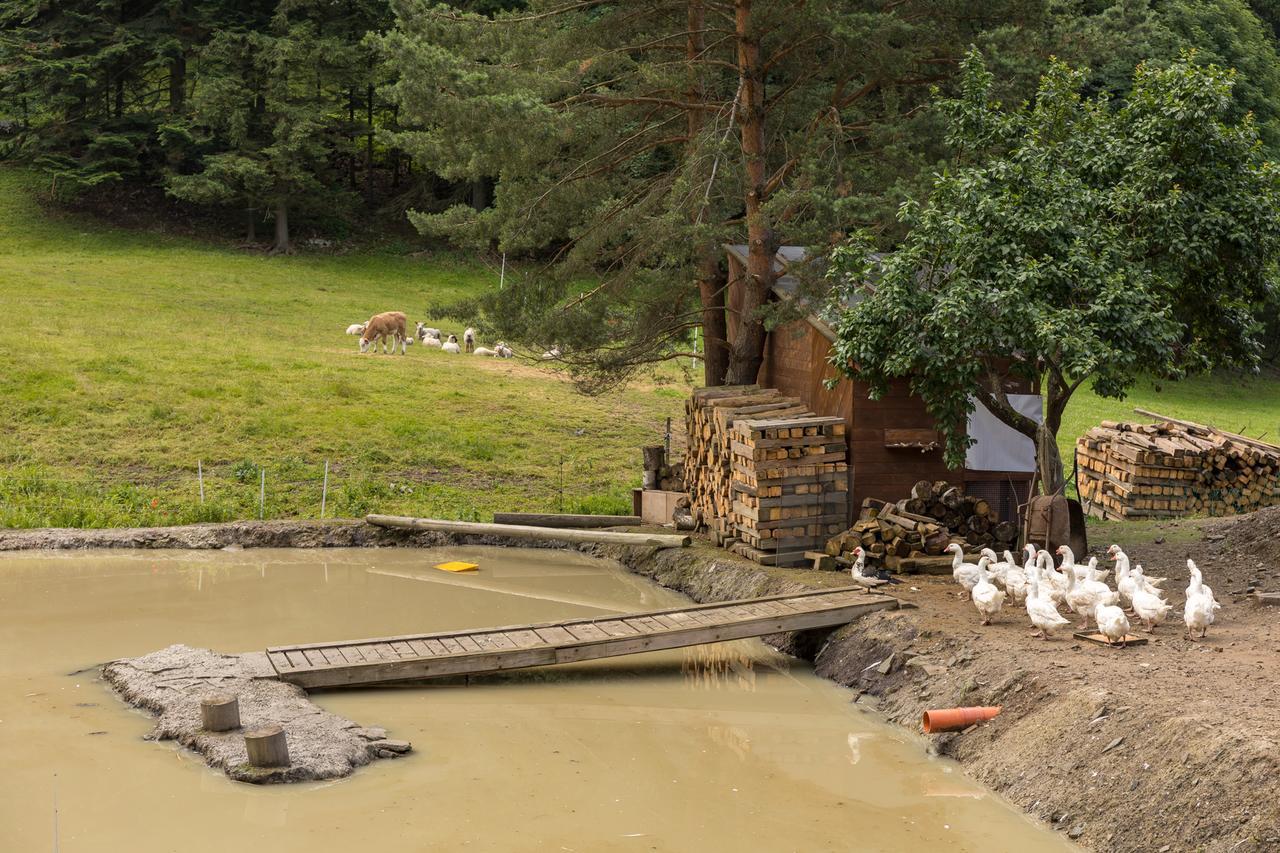 Statek U Rajmunda Zemedelska Farma Villa Velke Karlovice Luaran gambar