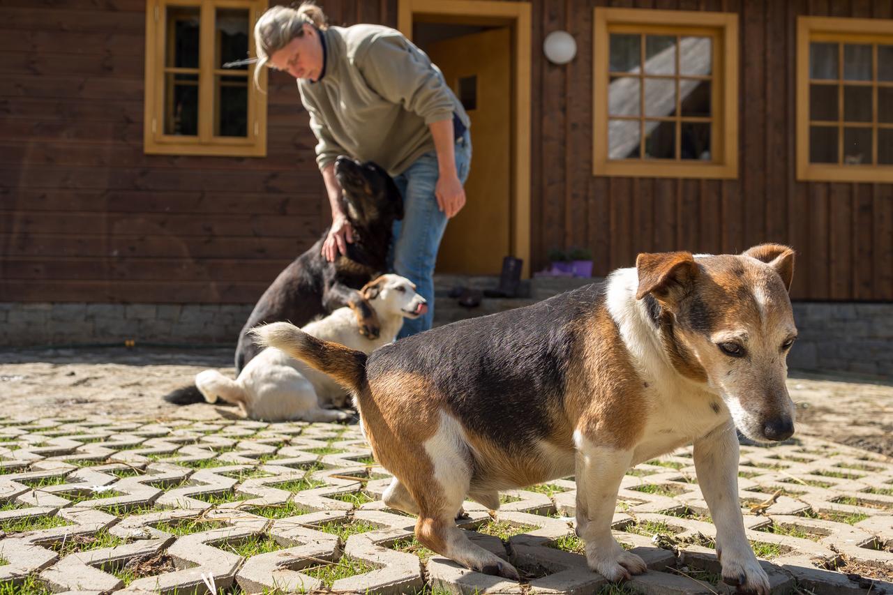 Statek U Rajmunda Zemedelska Farma Villa Velke Karlovice Luaran gambar