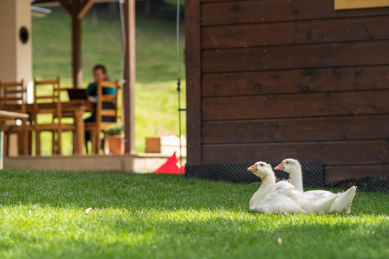 Statek U Rajmunda Zemedelska Farma Villa Velke Karlovice Luaran gambar