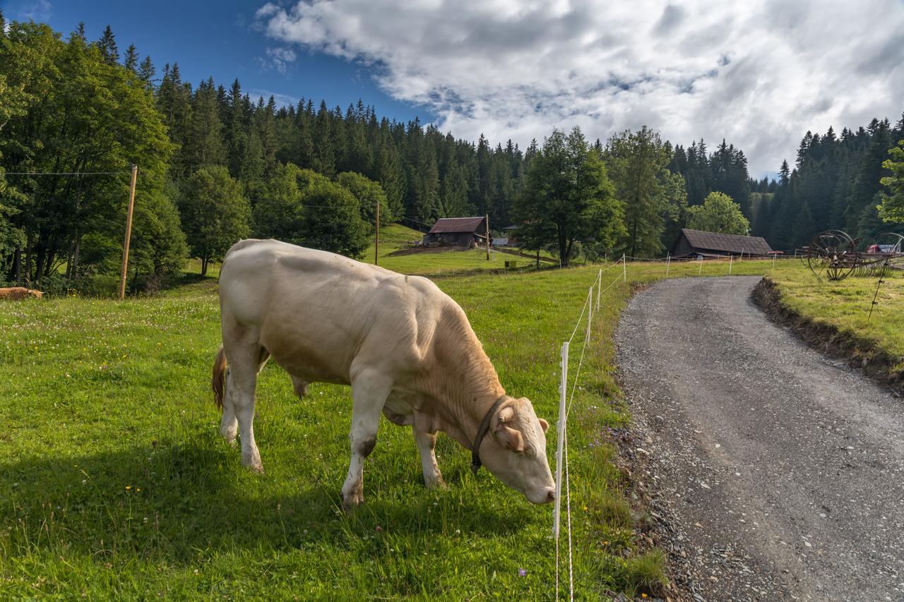 Statek U Rajmunda Zemedelska Farma Villa Velke Karlovice Luaran gambar