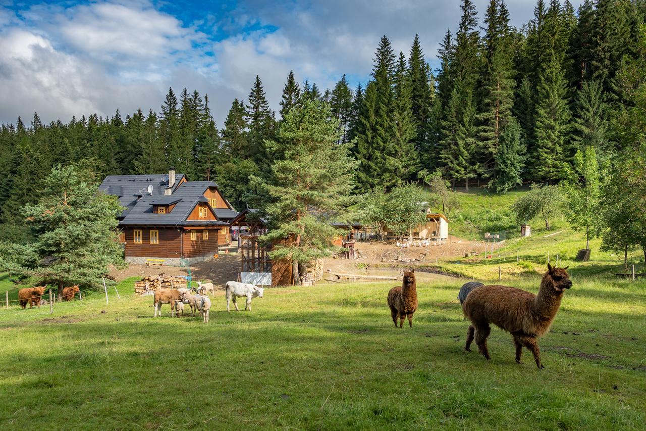 Statek U Rajmunda Zemedelska Farma Villa Velke Karlovice Luaran gambar