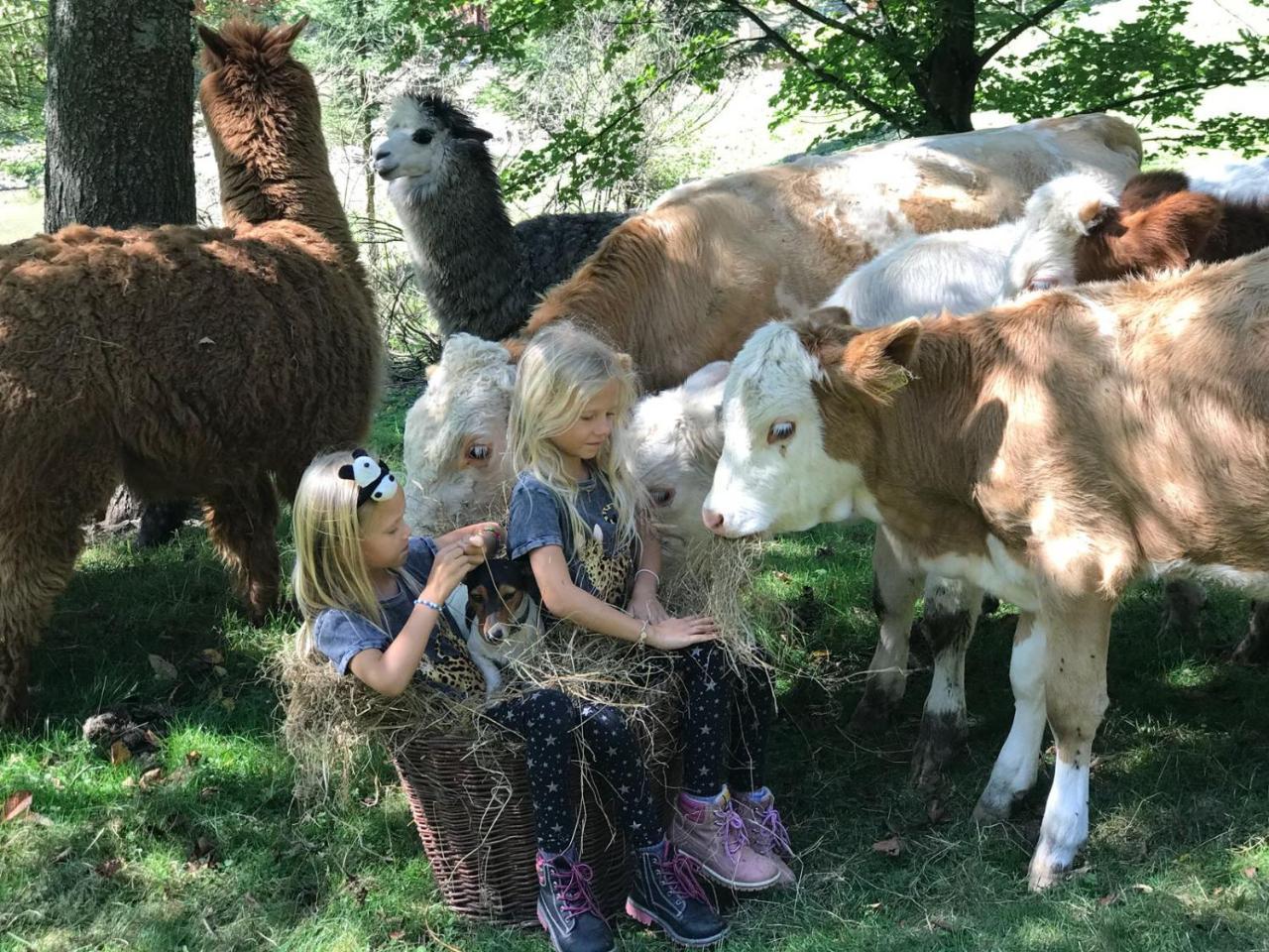 Statek U Rajmunda Zemedelska Farma Villa Velke Karlovice Luaran gambar